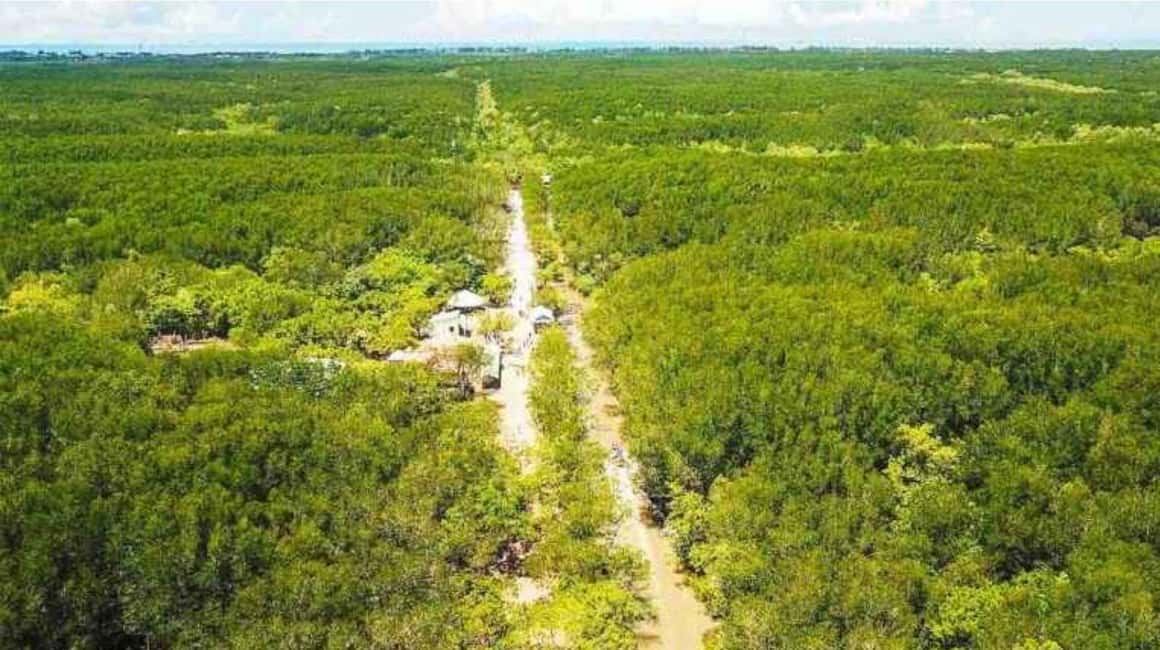 Immagine nº 10 di Ho Chi Minh: Eco Tour alla foresta di mangrovie di Can Gio PVT e SIC attività a Vietnam meridionale, caricata dal fornitore