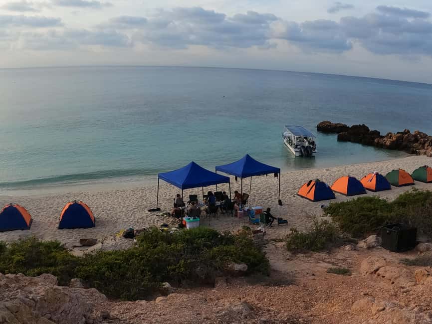 Immagine nº 25 di Isola di Daymaniyat: tour di snorkeling con pranzo gustoso attività a Seeb, caricata dal fornitore