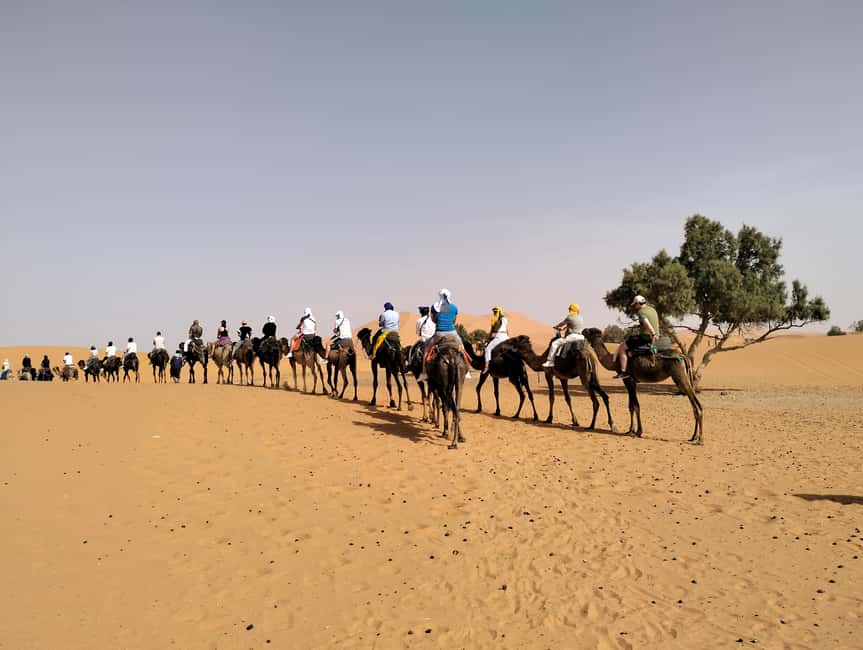 Image N°35 de Marrakech à Fès, circuit de 3 jours dans le désert à dos de chameau et en tente de luxe activité à Marrakech-Safi, publiée par le prestataire