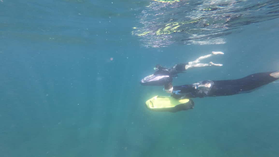 imagen n.º 35 de Fort Lauderdale: Excursión y alquiler de esnórquel SEABOB Ultimate actividad en Fort Lauderdale, subida por el proveedor