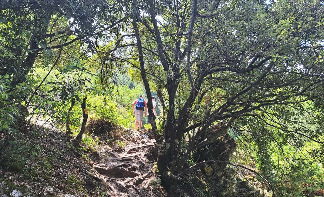 image n.8 of From Thessaloniki: Day Trip to Dion and Mount Olympus Park activity in Dion, Pieria, uploaded by supplier