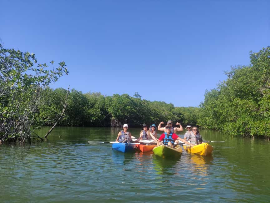 imagen n.º 7 de Cancún: Excursión en Kayak por la Laguna Nichupté actividad en Cancún, subida por el proveedor