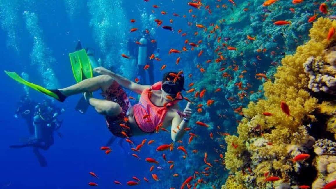 image n.4 of Zanzibar: Mnemba Island Snorkelling and Dolphin Tour. activity in Mangapwani, uploaded by supplier