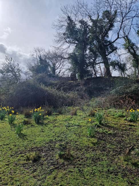 Obraz nr 10 z atrakcji Killarney: Rejs wycieczkowy na wyspę Innisfallen, jeziora Killarney w Munster, przesłany przez organizatora