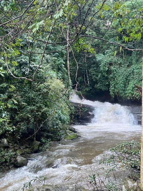 image n.41 of Chiang Mai: Doi Inthanon Park and Pha Dok Siew Trail Trek activity in Chiang Mai, uploaded by supplier