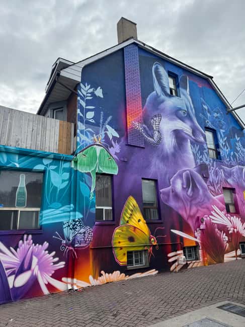 image n.5 of Toronto: Street Art and Graffiti Tour Run by Street Artist activity in Toronto, uploaded by supplier