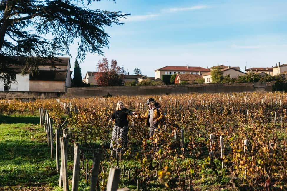 imagen n.º 9 de Desde Lyon: Ruta del Vino Beaujolais con Degustaciones actividad en Lyon, subida por el proveedor