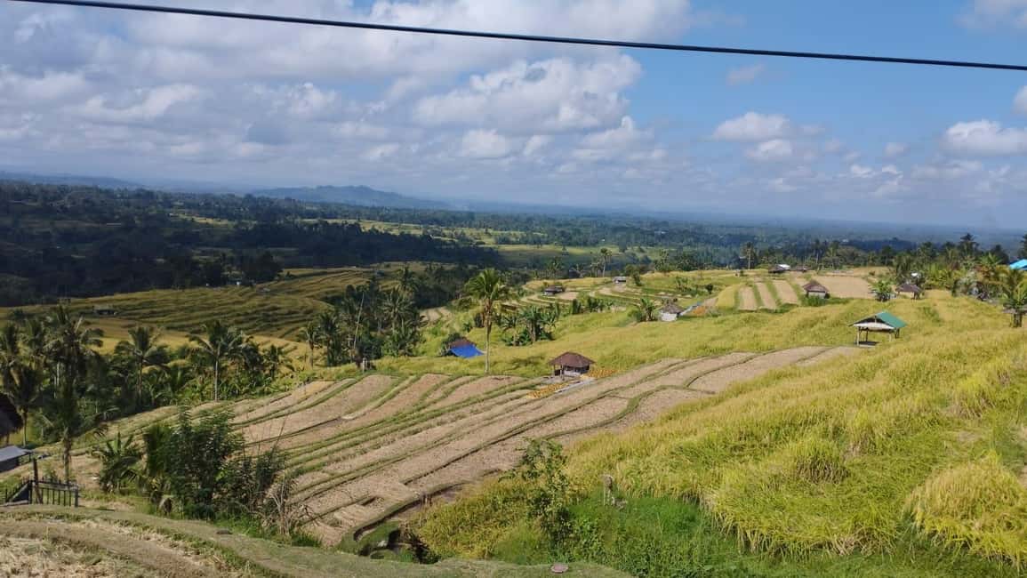 image n.5 of Bali: Jatiluwih Rice Terraces 1 Hour Electric Bike Tour activity in Ubud, uploaded by supplier