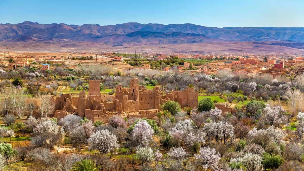 billede nr.19 af aktiviteten Fra Casablanca: 8 dages Chefchaouen, Fes og ørken-eventyr i Rabat, uploadet af udbyder