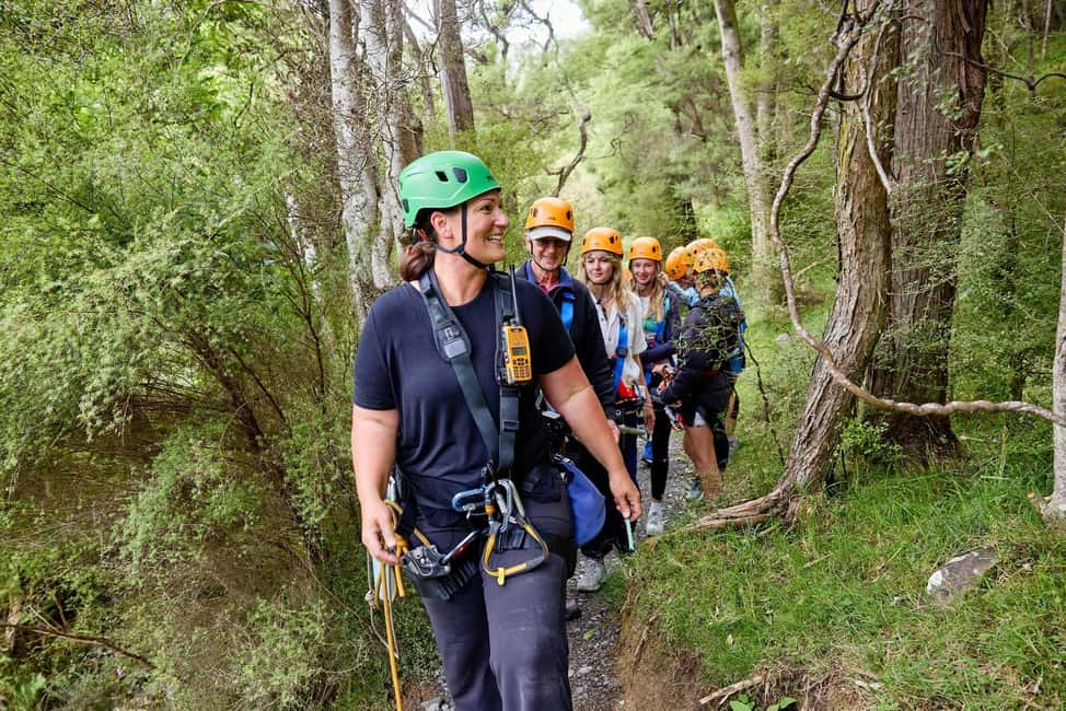 image n.8 of Kaikōura: Zipline and Native Forest Adventure Trip activity in Kaikoura, uploaded by supplier