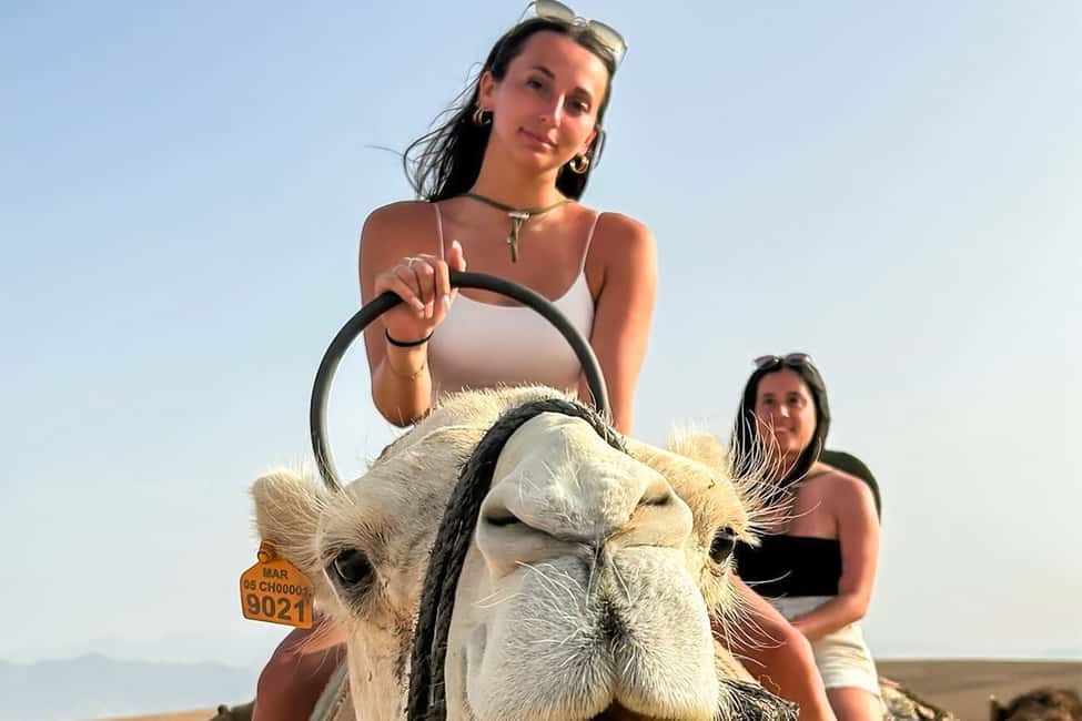Immagine nº 6 di Fuga nel deserto di Agafay: Cena al tramonto e giro in quad/cammello attività a Marrakech, caricata dal fornitore