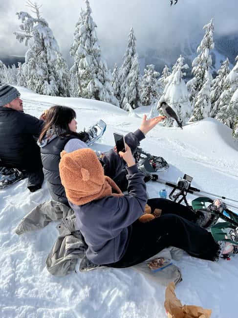 image n.3 of Vancouver: North Shore Mountains Snowshoeing with Transfer activity in West Vancouver, uploaded by supplier