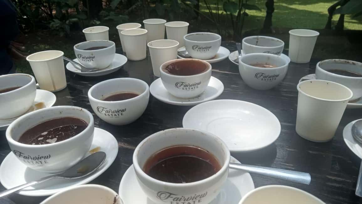image n.74 of Coffee Farm Tour (Fairview) activity in Kiambu, uploaded by supplier