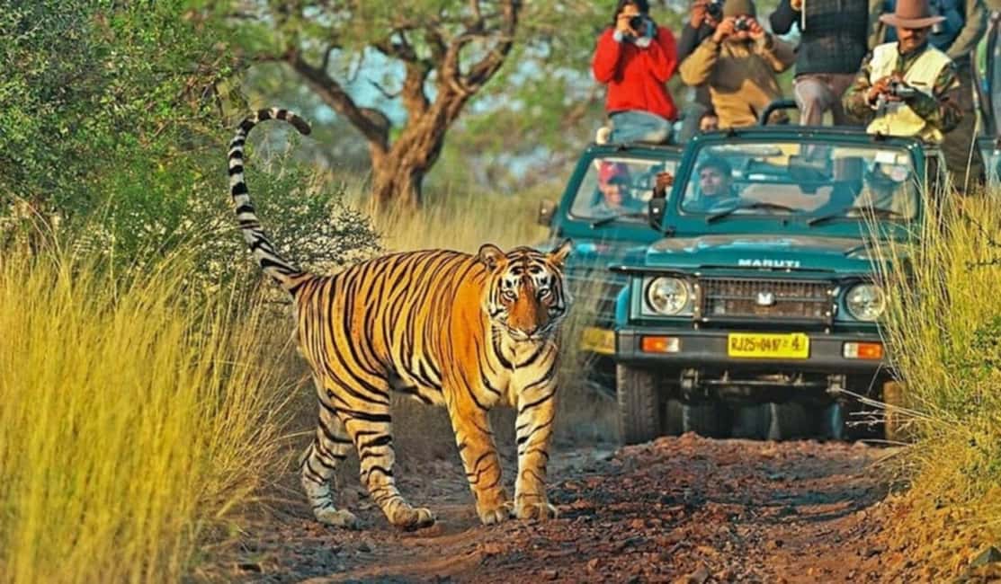 imagem n.2 de De Délhi: 6 dias de carro em Délhi, Jaipur, Agra e Ranthambore atividade em Nova Delhi, carregada pelo fornecedor