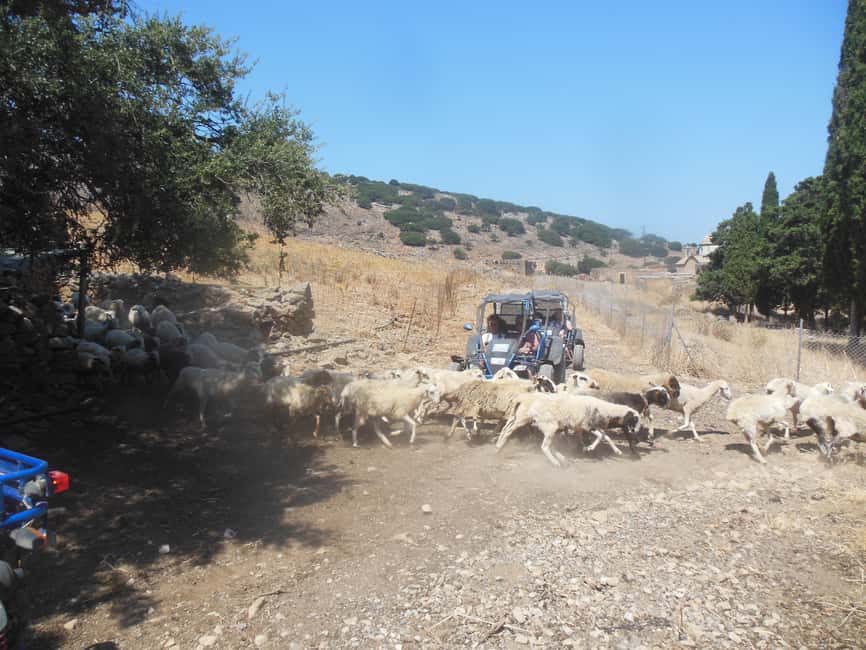 image n.8 of Buggy safari Crete (Transfer and lunch) analipsi- hersonisos activity in Neapolis, Crete, uploaded by supplier
