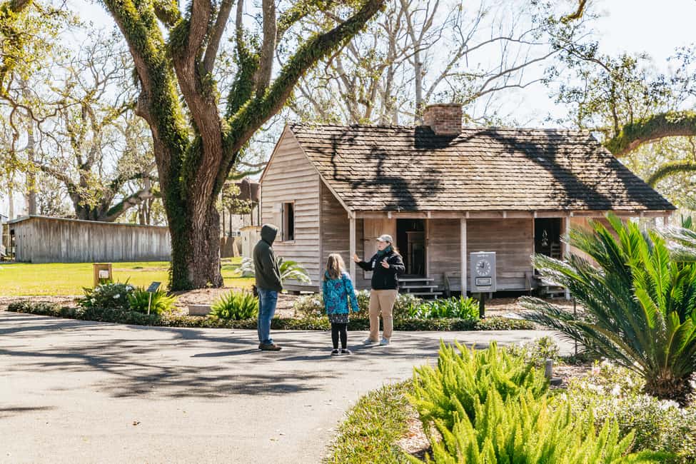 image n.9 of New Orleans: Oak Alley Plantation & Airboat Swamp Combo Tour activity in Vacherie, uploaded by supplier