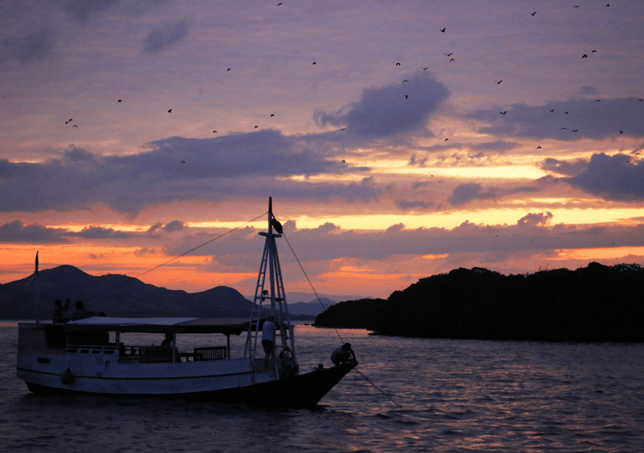 image n.18 of Komodo Island: Private 3-Day Tour with Boat and Hotel Stay activity in East Nusa Tenggara, uploaded by supplier