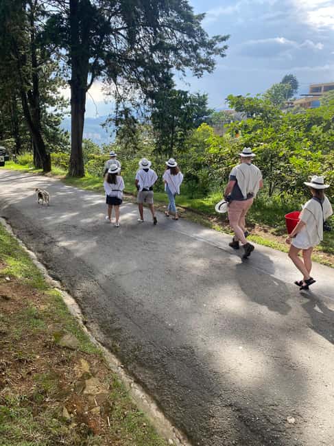 image n.15 of Medellín Coffee Farm Tour with Trolley and Cable Car Ride activity in Medellin, uploaded by supplier