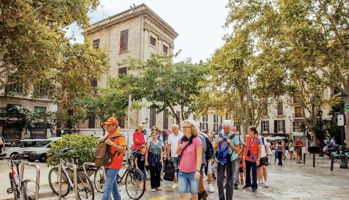 bild nr.27 av Palma de Mallorca: Rundtur i Gamla stan och katedralen aktivitet i Palma de Mallorca, uppladdad av arrangören