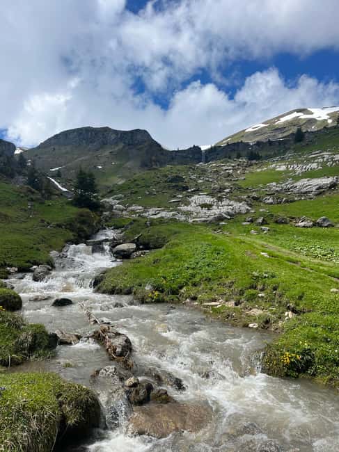 imagen n.º 9 de Interlaken: excursión a un lago alpino y a un acogedor refugio de montaña. actividad en Spiez, subida por el proveedor