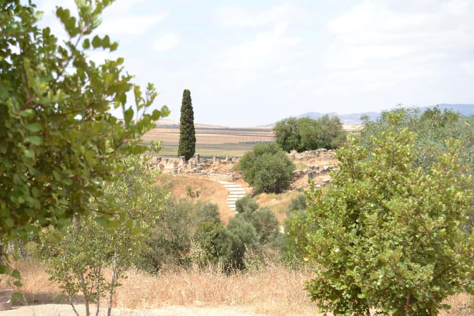 billede nr.19 af aktiviteten Dagstur fra Fes til Volubilis via Meknes og Moulay Idriss i Meknès, uploadet af udbyder