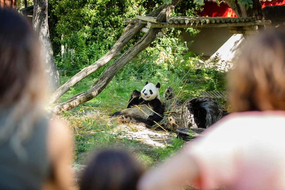 image n.3 of Madrid: Zoo Aquarium Madrid Ticket activity in Madrid, uploaded by supplier