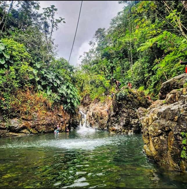 billede nr.10 af aktiviteten P-up/ San Juan: El Yunque halvdagstur med transport i Río Grande, Puerto Rico, uploadet af udbyder