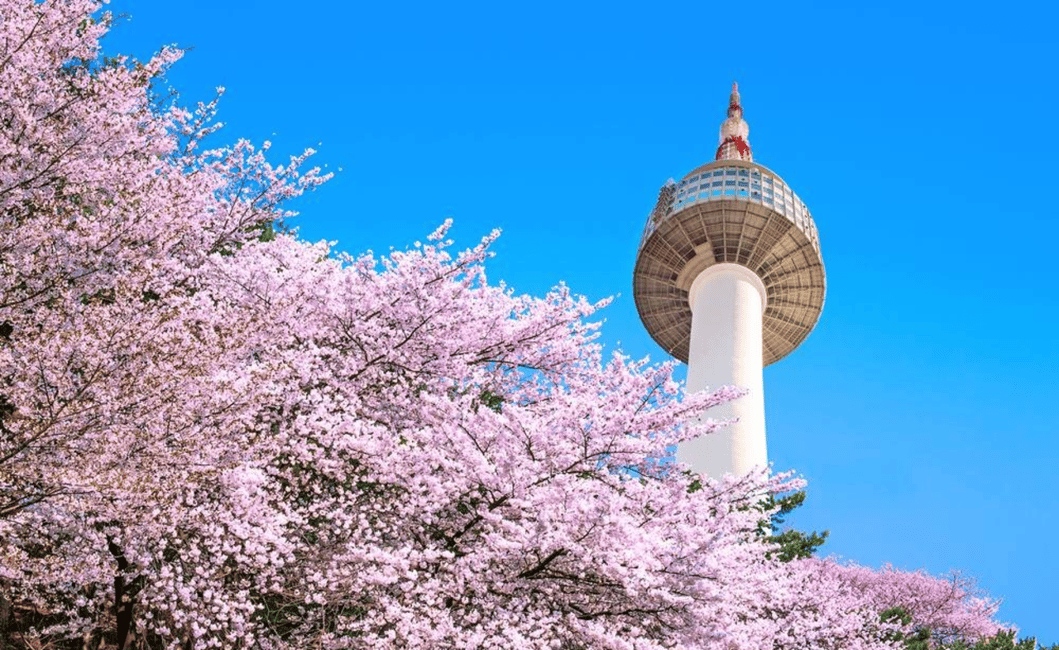 image n.2 of Seoul: N Seoul Tower Observatory Ticket activity in Seoul, uploaded by supplier