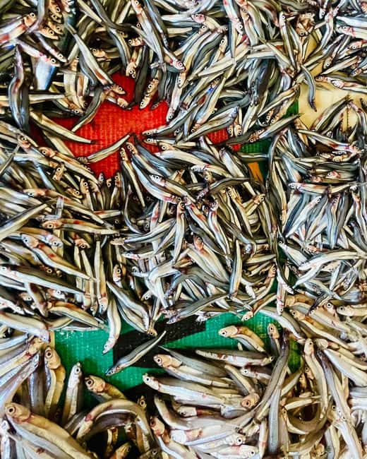 image n.4 of Olhão Fish Market & Food Tour activity in Olhão, uploaded by supplier