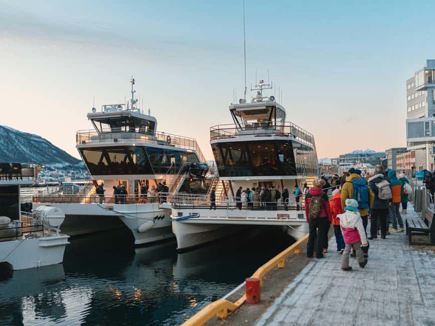 Bild Nr. 10 von Tromsø: Walbeobachtungstour mit dem Hybrid-Elektroboot Aktivität in Tromsø, hochgeladen vom Anbieter