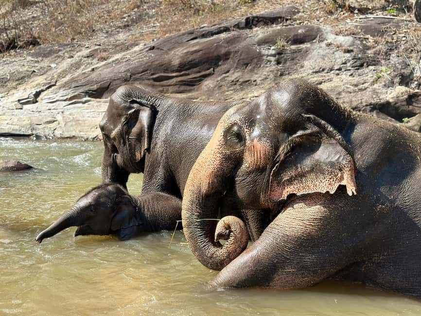 image n.17 of Chiang Mai: Elephant Sanctuary, Waterfall & Bamboo Rafting activity in Chiang Mai, uploaded by supplier