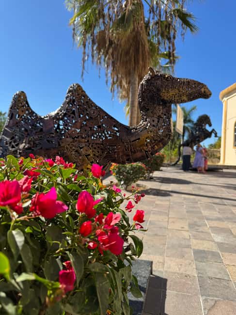 image n.13 of - From La Paz to Los Cabos: A Private Tour at Your Own Pace". activity in La Paz, Mexico, uploaded by supplier