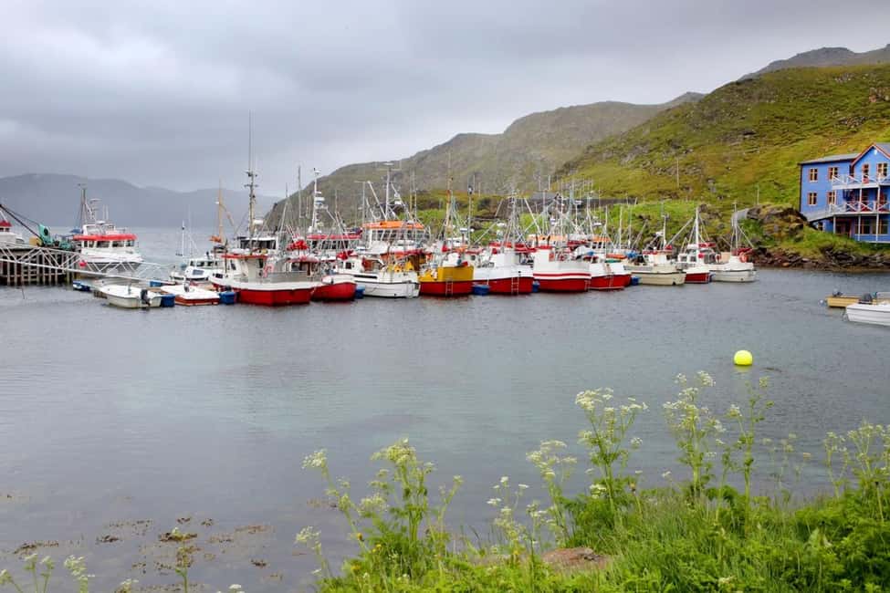 image n.7 of Honningsvåg: North Cape Guided Tour with Entry Ticket activity in Barents Sea, uploaded by supplier