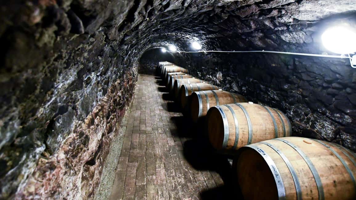 image n.6 of Tokaj: Vineyard Tour & Tasting activity in Tokaj, uploaded by supplier