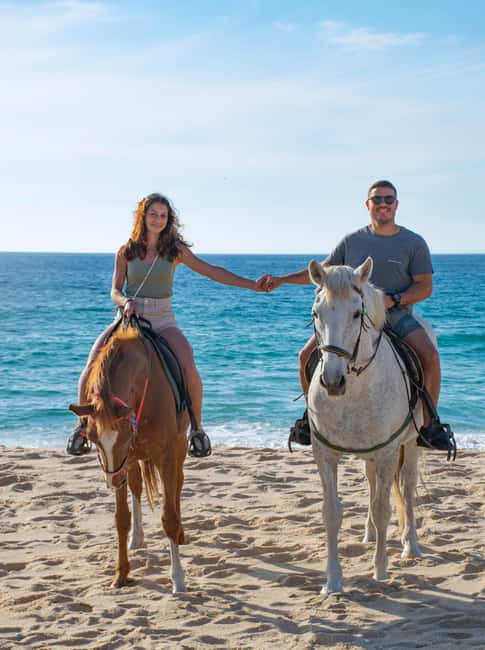 imagem n.15 de Melides: Passeios a cavalo na praia de Melides atividade em Melides, carregada pelo fornecedor