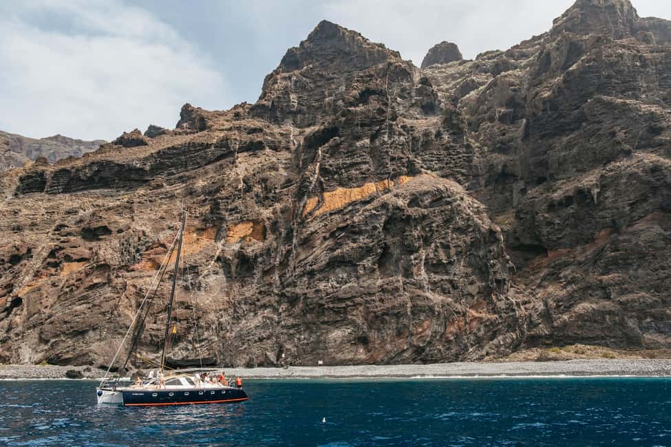 image n.17 of Costa Adeje: Whale & Dolphin Eco-Cruise with Snacks & Drinks activity in Costa Adeje, uploaded by supplier