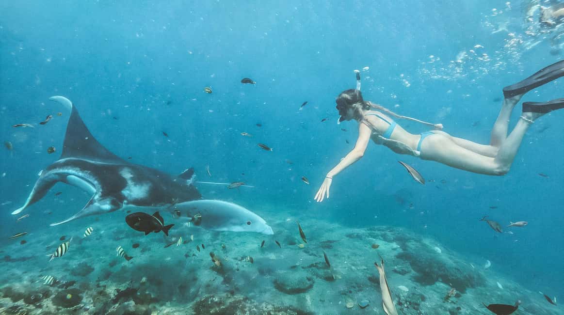 image n.9 of Nusa Penida Island: Manta Point Snorkeling & West Coast Tour activity in Batoemadeg, uploaded by supplier