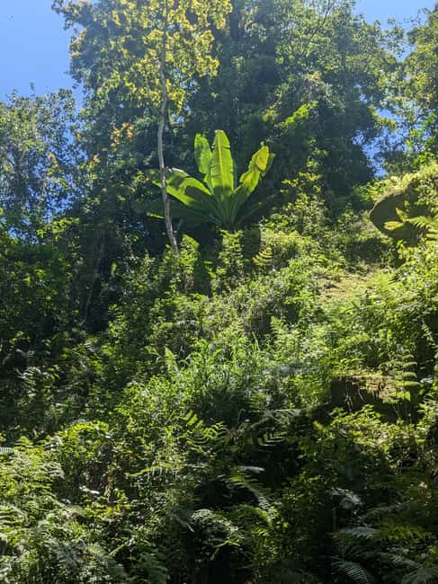 image n.7 of Arusha: Napuru Waterfalls Guided Hike activity in Arusha (Region), uploaded by supplier
