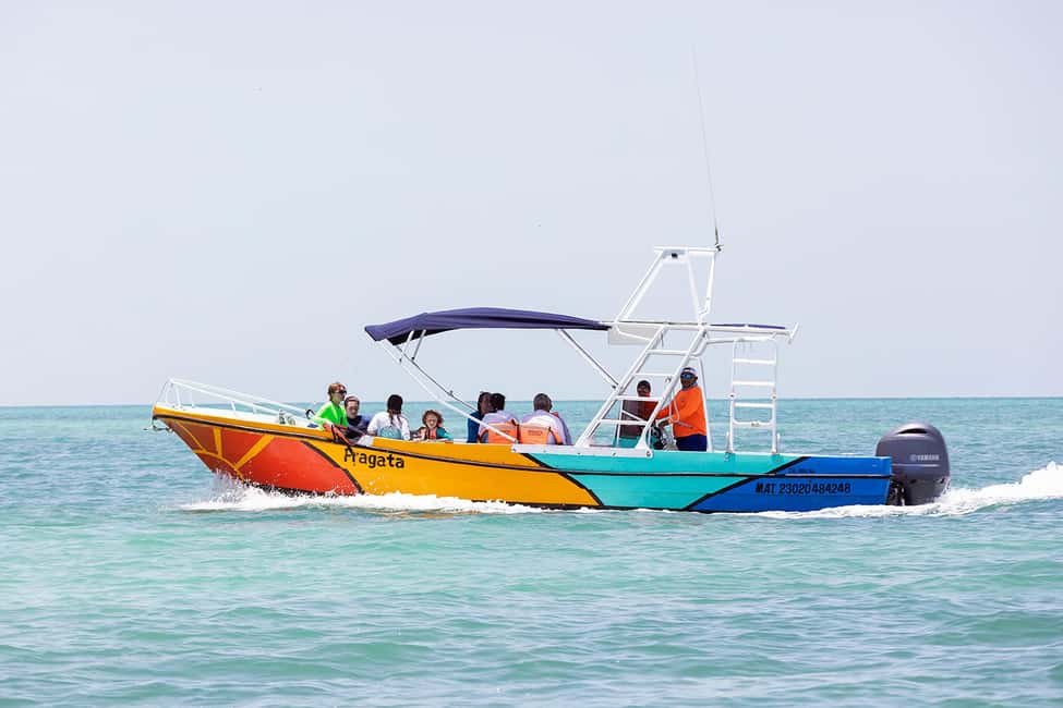 Bild Nr. 3 von Holbox: Suche und schwimme mit Walhaien! Alles inklusive. Aktivität in Quintana Roo, hochgeladen vom Anbieter