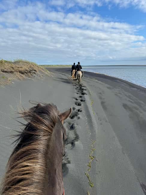 imagen n.º 2 de sur de Islandia: Excursión a caballo por la playa negra actividad en Hvolsvöllur, subida por el proveedor