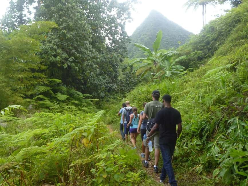 image n.4 of St. Lucia: Gros Piton Hike with Transportation activity in Castries Quarter, Saint Lucia, uploaded by supplier