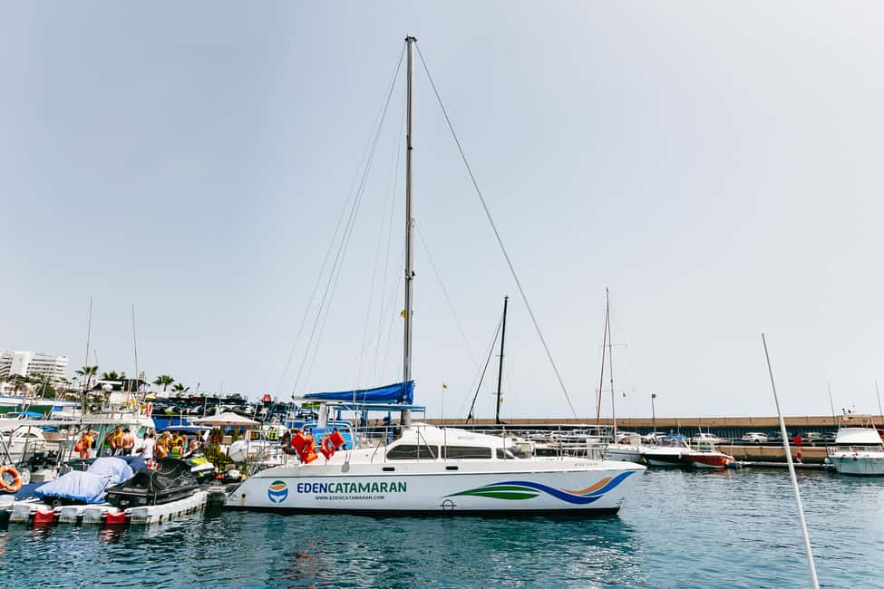 billede nr.4 af aktiviteten Costa Adeje: Hvalsafari med katamaran og drikkevarer i Costa Adeje, uploadet af udbyder