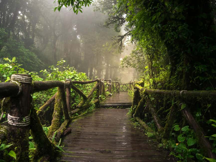 image n.9 of Chiang Mai: Doi Inthanon Park and Pha Dok Siew Trail Trek activity in Chiang Mai, uploaded by supplier