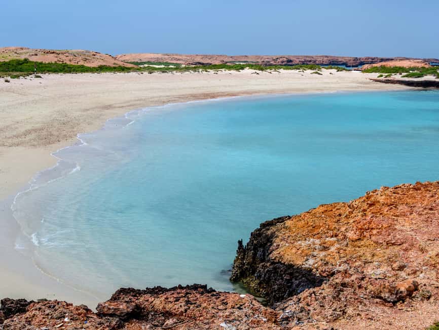 Immagine nº 15 di Muscat: Tour di snorkeling delle isole Daymaniat con rinfresco attività a Oman, caricata dal fornitore
