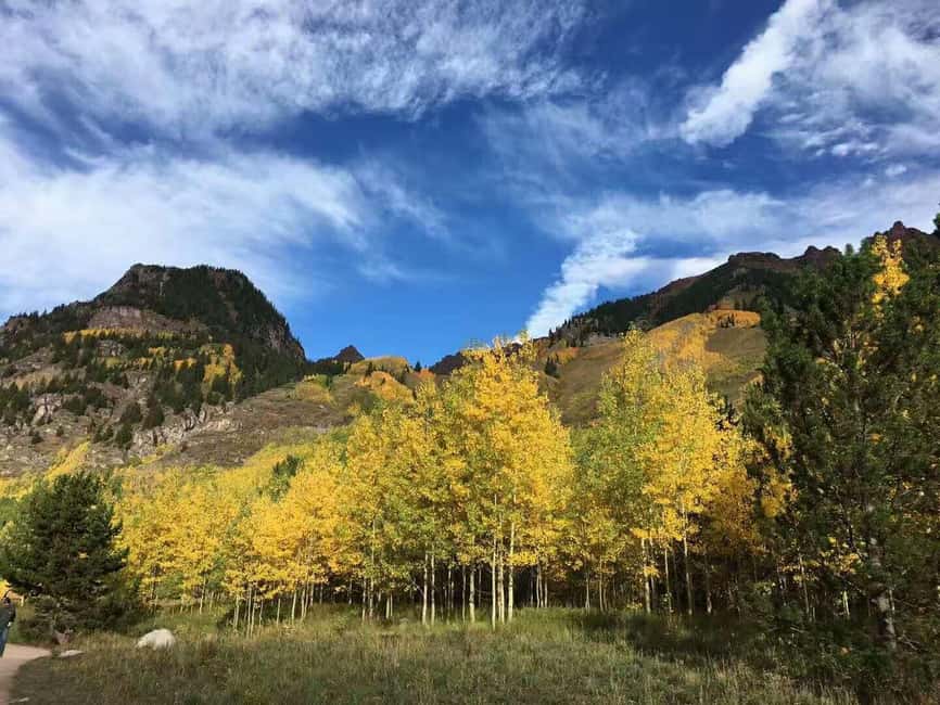 imagem n.3 de De Seattle: Excursão guiada de um dia ao Monte Rainier atividade em Washington, carregada pelo fornecedor