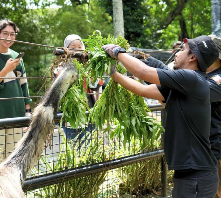 billede nr.4 af aktiviteten Selangor: Zoo Negara e-billet i Kuala Lumpur, uploadet af udbyder