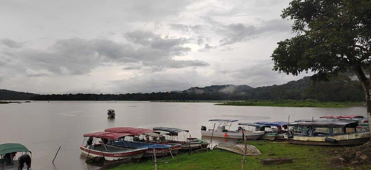image n.19 of Panama City: Guided Jungle Adventure with Gatun Lake Cruise activity in Colón Province, uploaded by supplier