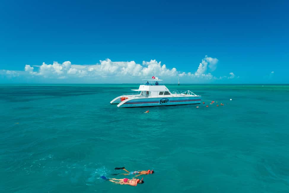 imagen n.º 10 de Desde Miami Excursión de un día a Cayo Hueso actividad en Cayo Hueso, subida por el proveedor