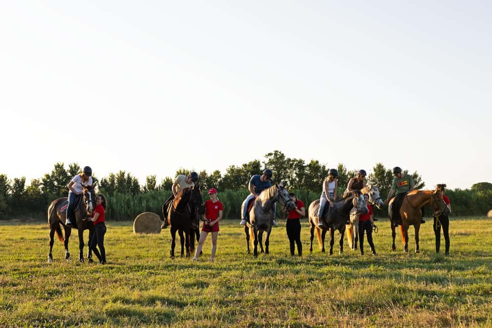 Bild Nr. 4 von Fazana: 1-stündiger Ausritt in die Natur bei Sonnenuntergang mit Guide Aktivität in Fažana, hochgeladen vom Anbieter