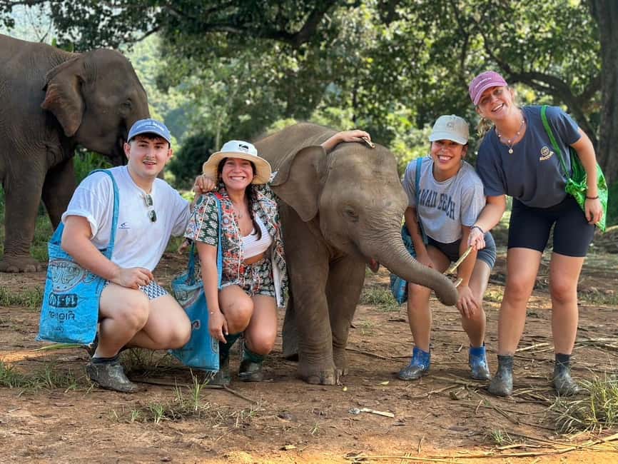 image n.4 of Chiang Mai: Elephant Sanctuary, Waterfall & Bamboo Rafting activity in Chiang Mai, uploaded by supplier